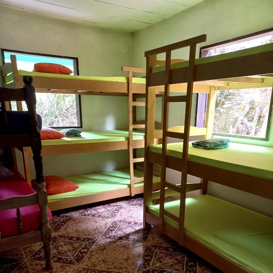 Live Hostel باراتي الغرفة الصورة